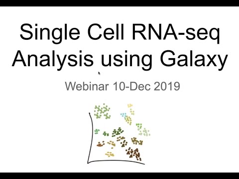 Video: Nuova Skin Per La Vecchia Cerimonia RNA-Seq: L'era Delle Multi-omiche A Cellula Singola