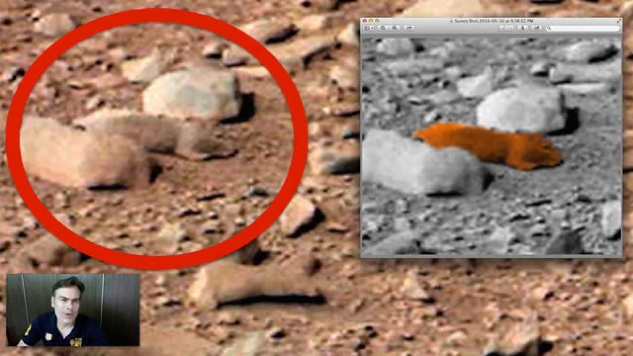 Скину на марса. Жизнь на Марсе доказательства. Явление на Марсе. Живые организмы на Марсе.