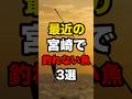 最近の宮崎で釣れていない魚3選#釣り #shorts