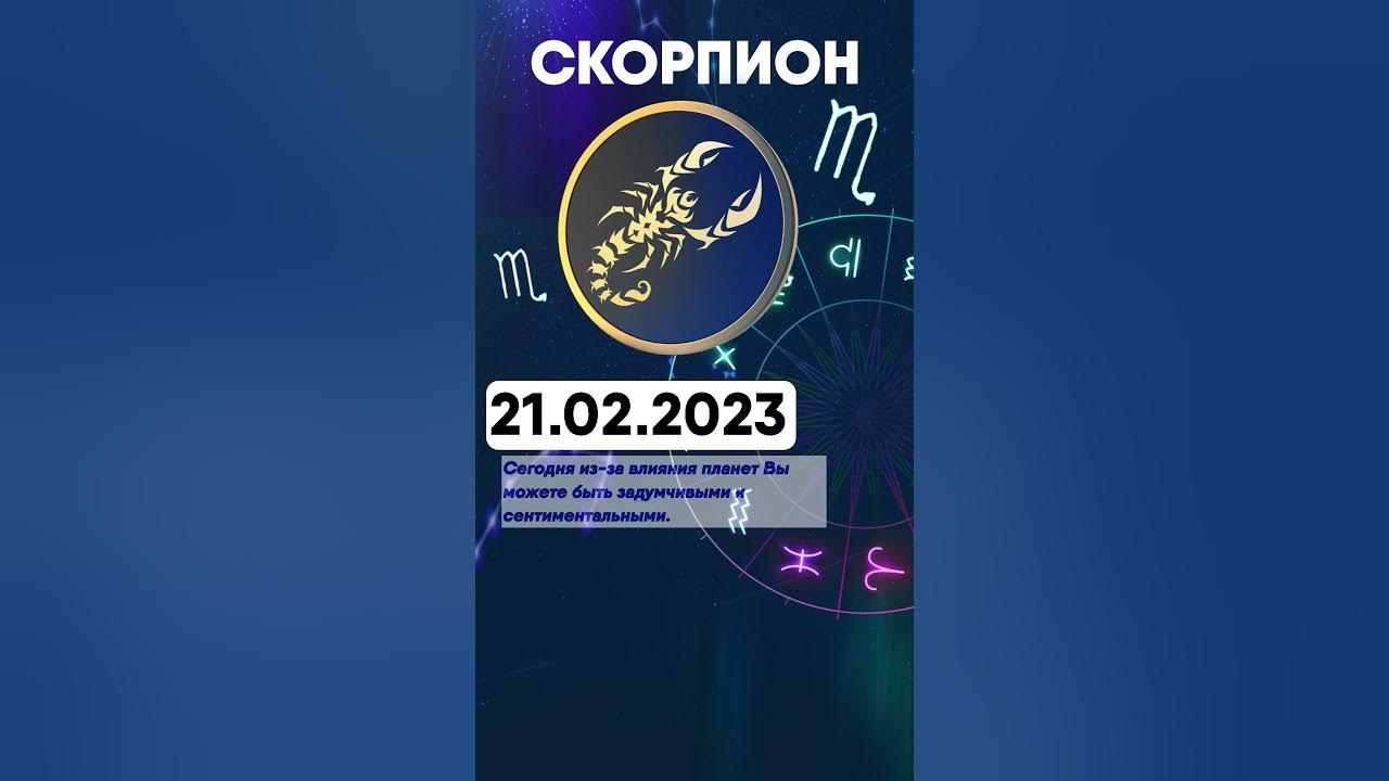 Гороскоп скорпиона 2023 года