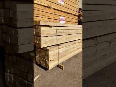 اوايم خشب طول ٥متر اسعار الخشب الحور