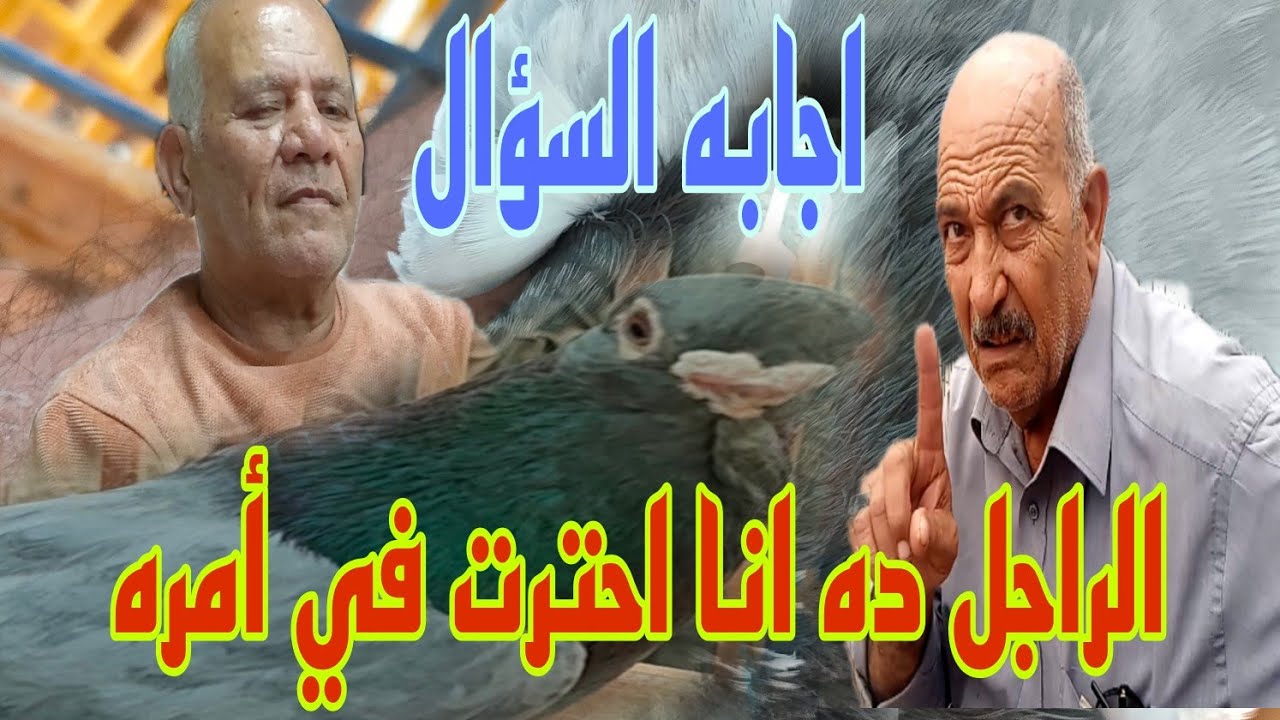 🔴انا هجاوبك يا وصفي (التجربة )#الحمام_الغزار