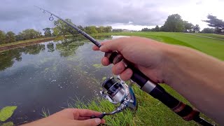 MICRO Hook Fishing Challenge??