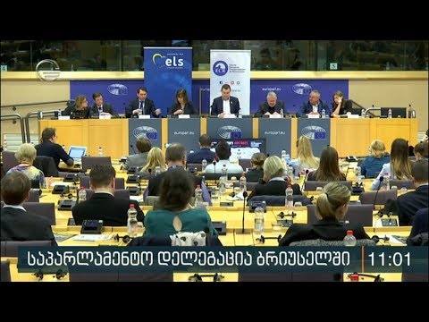 საპარლამენტო დელეგაცია ბრიუსელში