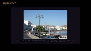 This is a broad waterfront city view in which ornate black-and-gold Photo Critique