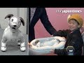 The new Aibo meets its new owner at Sony’s Tokyo headquarters