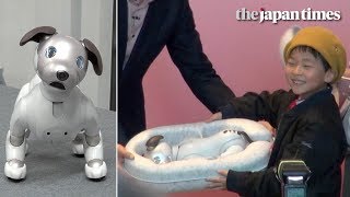 The new Aibo meets its new owner at Sony’s Tokyo headquarters