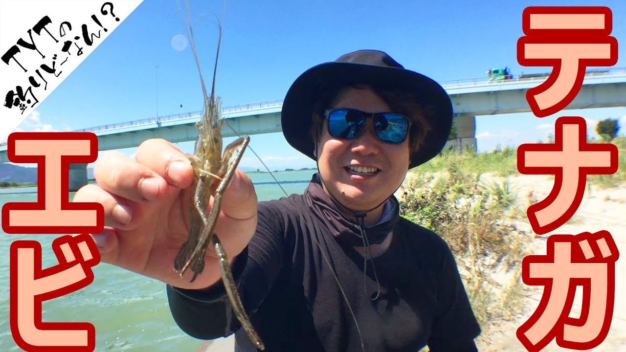 木曽川でテナガエビ釣り のはずが Youtube 木曽川でテナガエビ釣り のはずが Youtube