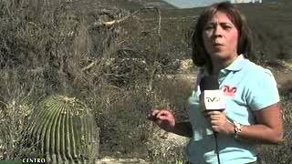 Denuncian A Cementera Por Daños Al Medio Ambiente En Hidalgo