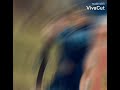 بالا عل اغنيه بالضحكه دي لعمرو دياب  🌎😳