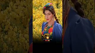 Beqabu Ho A Beqabu Sanjay Kapoor, Mamta Kulkarni Udit Narayan, Alka Yagnik- 90S Love Songs