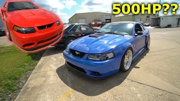 My Mach 1 made HOW MUCH Power?!