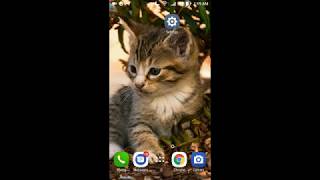 How to clean mobile memory cache and free up space android Marshmallow screenshot 5
