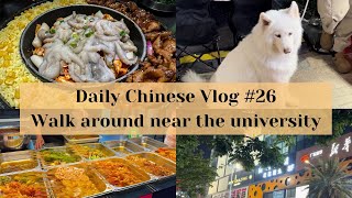 【20 mins Chinese Vlog #26】 Walk around near the university 在大学附近逛逛 | Eng subtitles | with pinyin