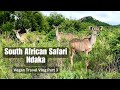 South africa travel vlog part 3  ndaka safari