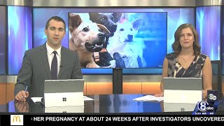 Capital Humane Society receives outpour of donations for pet pantry