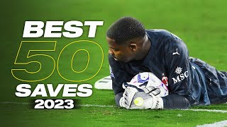 Best 50 Goalkeeper Saves 2023 | HD