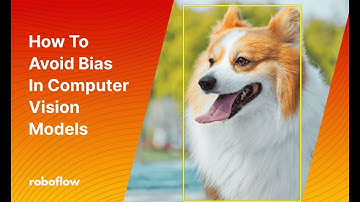 Preventing Algorithmic Bias in Computer Vision Models