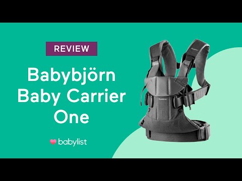 1 year old in baby carrier