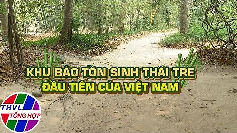 Viet nam có bao nhiêu khu bảo tồn sinh thái năm 2024