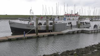 Schouwen-Duiveland, Zeeland Teil 10 - Ausflug auf der Oosterschelde mit der MS Onrust