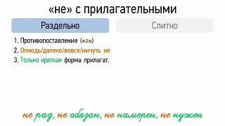 Правописание НЕ с прилагательными (6 класс, видеоурок-презентация)