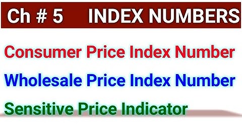 Consumer, Wholesale and Sensitive Price Index Number | Index Number statistics | In Urdu Hindi Eng