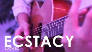 ecstacy (slowed) - SUICIDAL-IDOL / Fingerstyle Guitar Cover (+TABS)