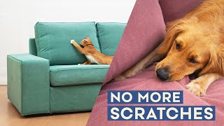 How To Make Your Sofa Dog & Cat PROOF: Velvet Covers Your Pet Can't DESTROY
