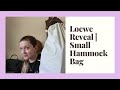 Loewe Reveal | Small Hammock Bag