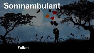 Felbm — Somnambulant