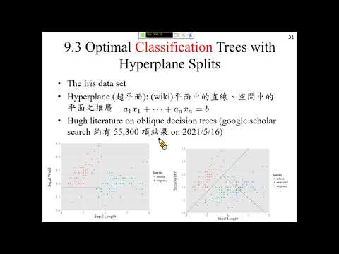 許志華，最佳化和機器學習 9-3 Optimal Classification Trees with Hyperplane Splits