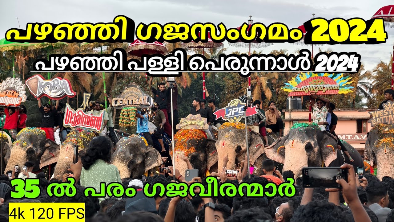 pazhanji palli perunnal 2024 പഴഞ്ഞി ഗജസംഗമം  2024 പഴഞ്ഞി പെരുന്നാൾ 2024 Rinshad Vlogs #pazhanji_2024