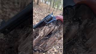 Heritage rough rider .357 magnum