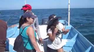 Fishing in san felipe is certainly one of the fun things to do when
you vacation felipe, baja california, mexico. there are different
types fishing...