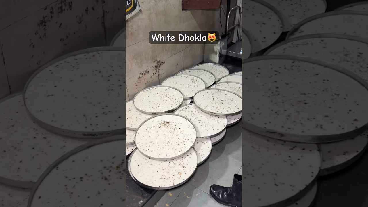 Surat Famous Instant White Dhokla In Just 160/-😻 | Indian Street Food #shorts