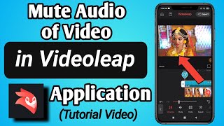 How to mute Audio of a Video in Videoleap Editor App screenshot 2