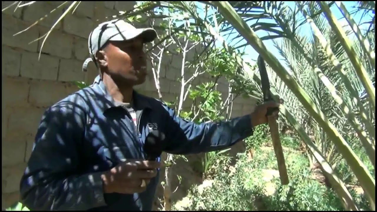 الرشيدية.. طريقة 