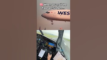 737 touchdown so smooth even Autoland took notes 🧈✈️