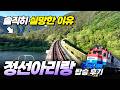 "코레일이 작정하고 부활시킨 관광열차"... 직접 타보니 실망한 이유