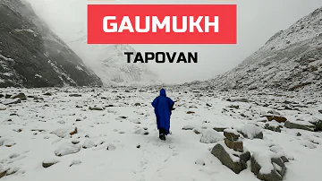 Winter Trek in Summer 2023 | Gaumukh Tapovan