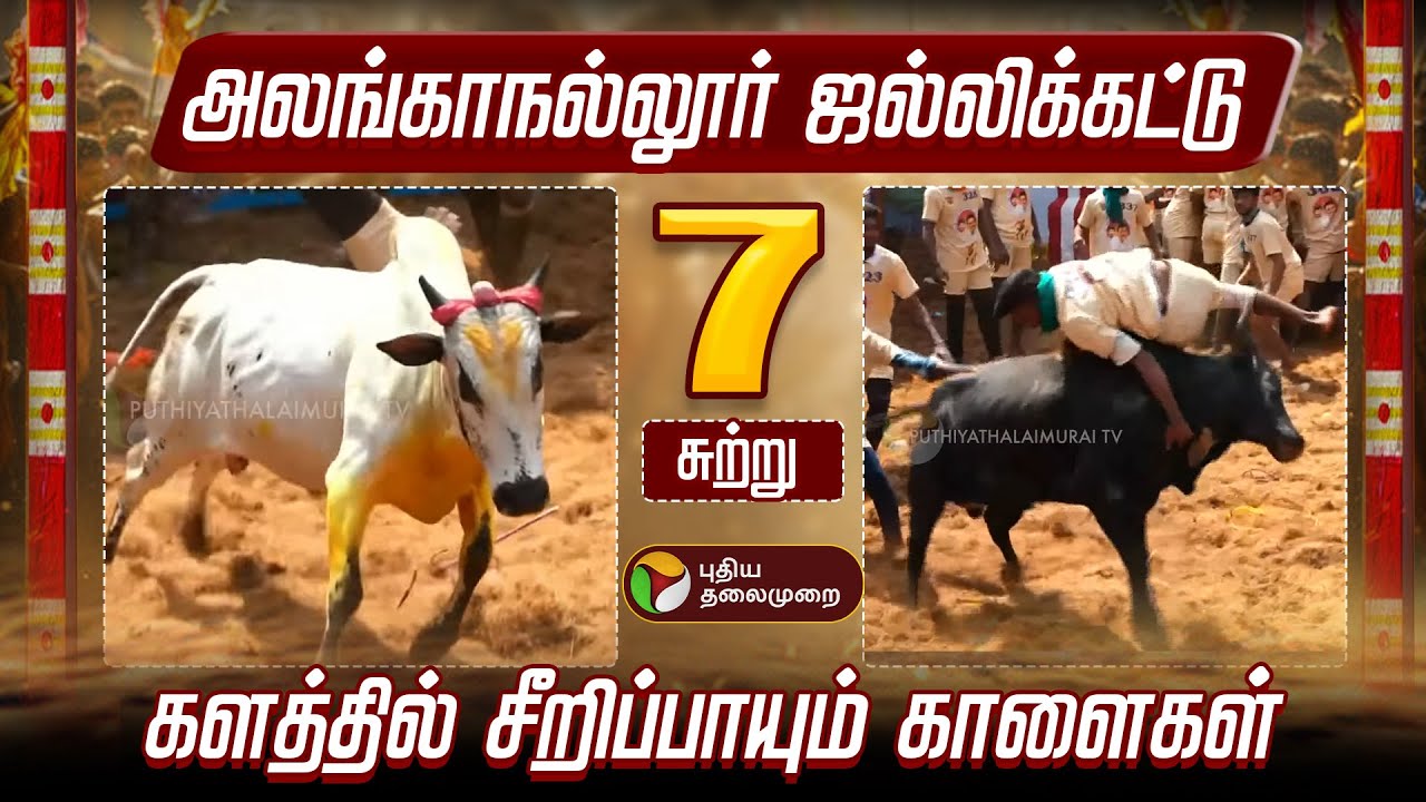 Alanganallur Jallikattu | அலங்காநல்லூர் ஜல்லிக்கட்டு.. சுற்று 7 | Madurai Alanganallur Jallikattu