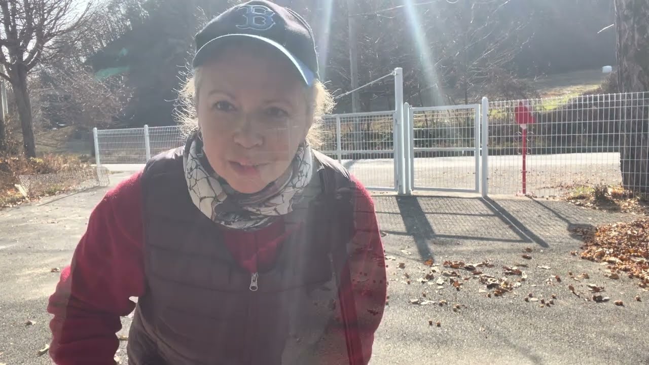 Южная Корея.🏠Деревенька/Асоль в саду/Морожу хурму/Незнакомец на участке/Уборка двора/Вечер с Асоль