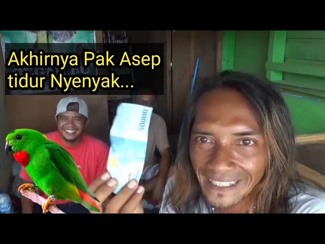 ini yg Viral!! burung lepas pak Asep akhirnya di ganti rugi class=