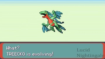 Pokemon Emerald Treecko Evolves to Grovyle and to Sceptile