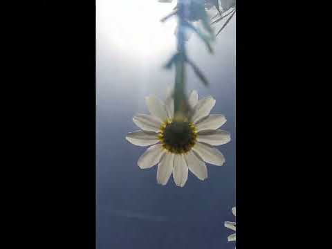 أيقنت أن الله يجبر خاطري