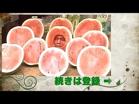 ナンチャンを探せ！ - YouTube