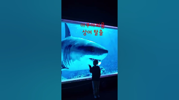 대전 엑스포 아쿠아리움 상어탈출