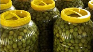 Zeytun Turşusunun Hazirlanmasi. Zeytin Nasıl Tuzlanır Türkce Altyazılı