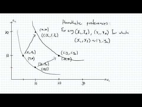 Video: Kad ražošanas funkcija ir homotētiska?